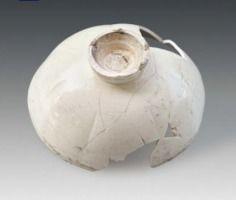 国产野花在线视频播放,探寻自然之美与生态风情